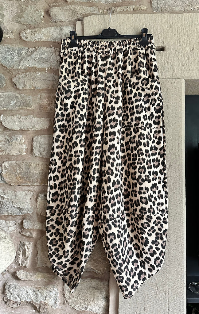 Leopard Tulip