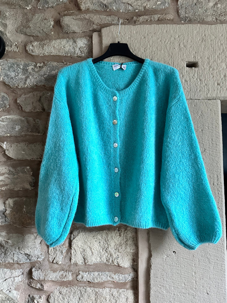 Blue Cardigan